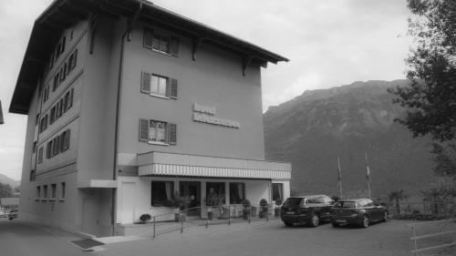 Hotel Brienzersee — hotel in Ringgenberg