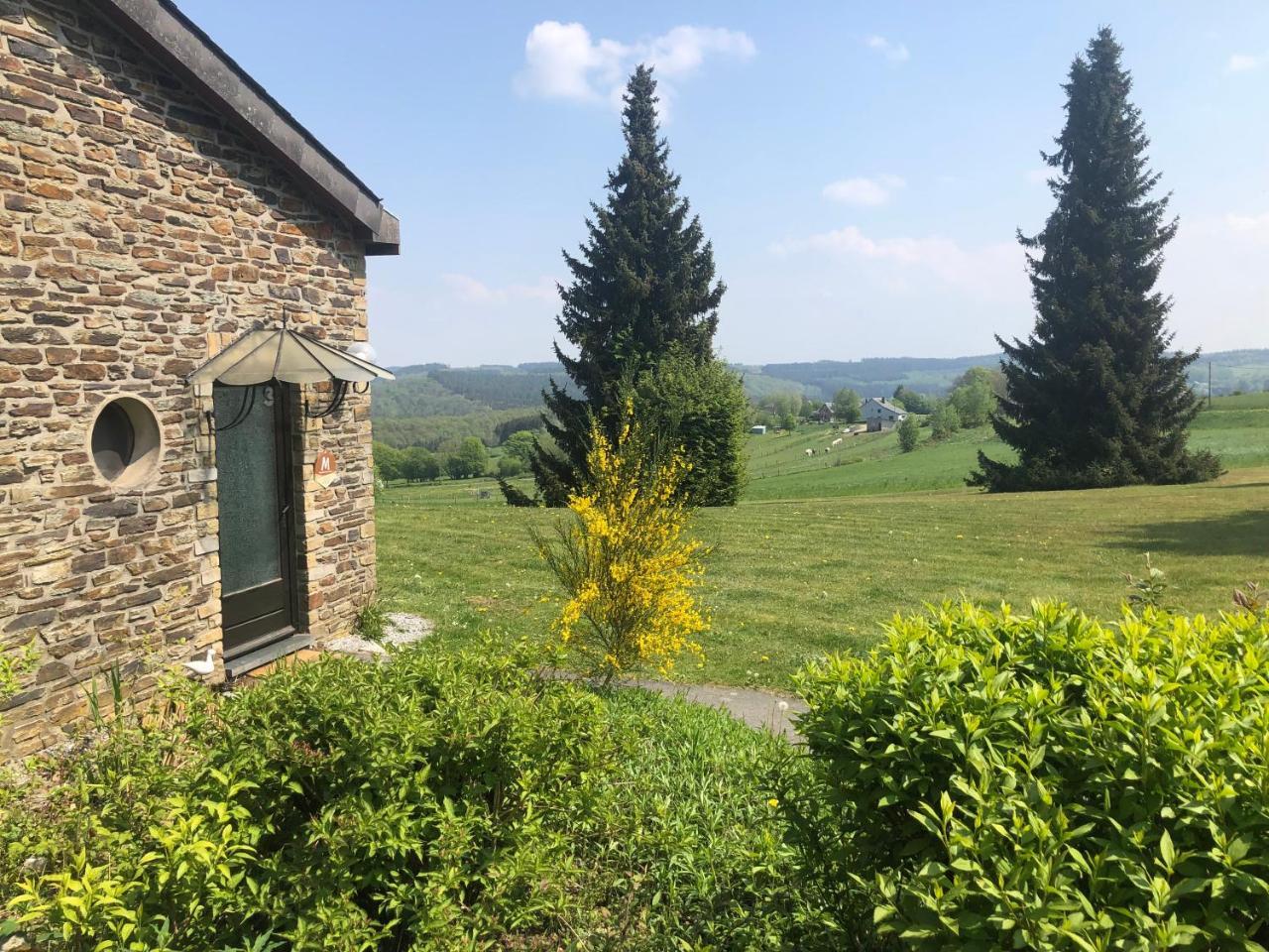 The Sassafras Breeze — hotel in Topton