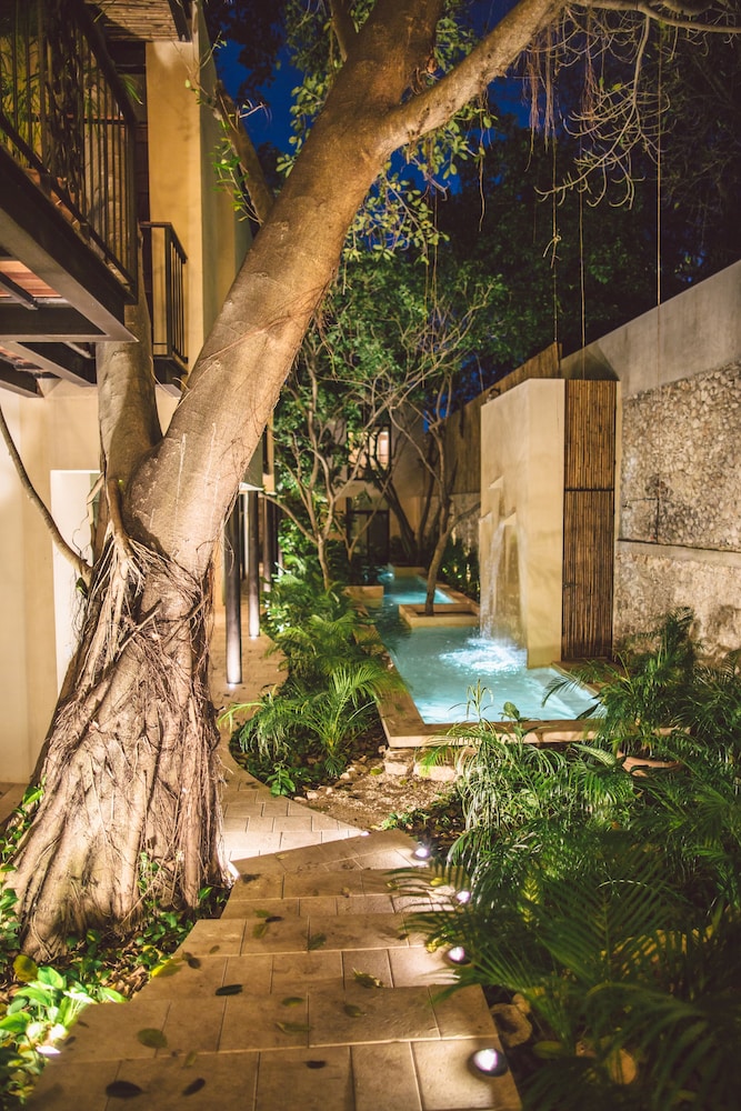 TreeHouse Boutique Hotel Adults Only in Merida, Mexico