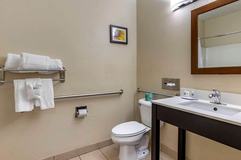 Comfort Inn Oklahoma City South I 240 - photo 15