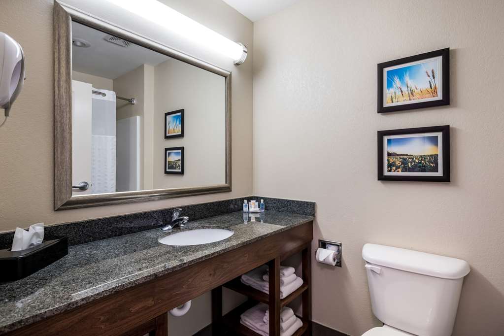 Comfort Inn Bonner Springs Kansas City - photo 20