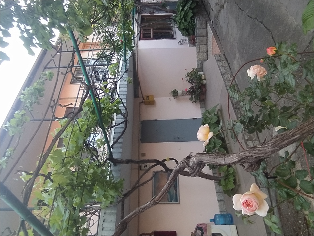 Celica Living quarters in Feodosiya, Russia