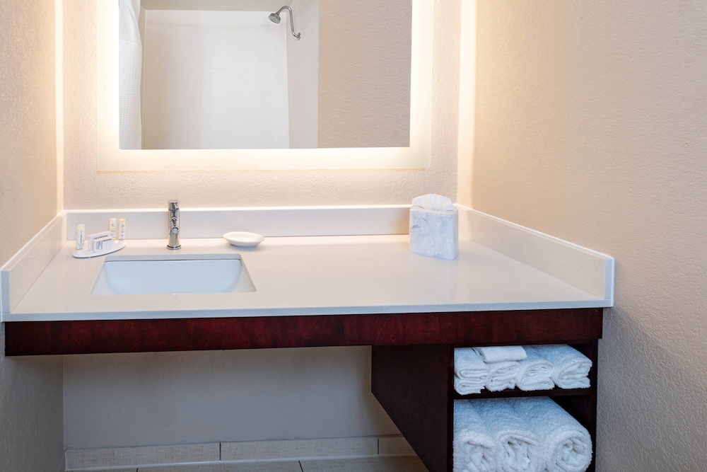 SpringHill Suites Houston Medical Center NRG Park - photo 9