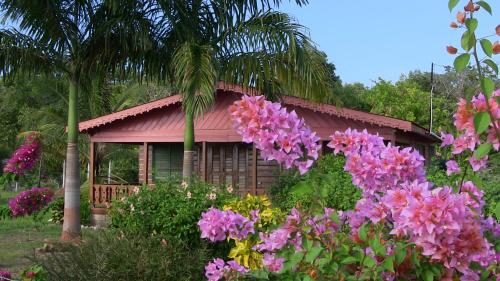 Little Bay Beach House — 4-Star Luxury Hotel in Petersfield, Jamaica