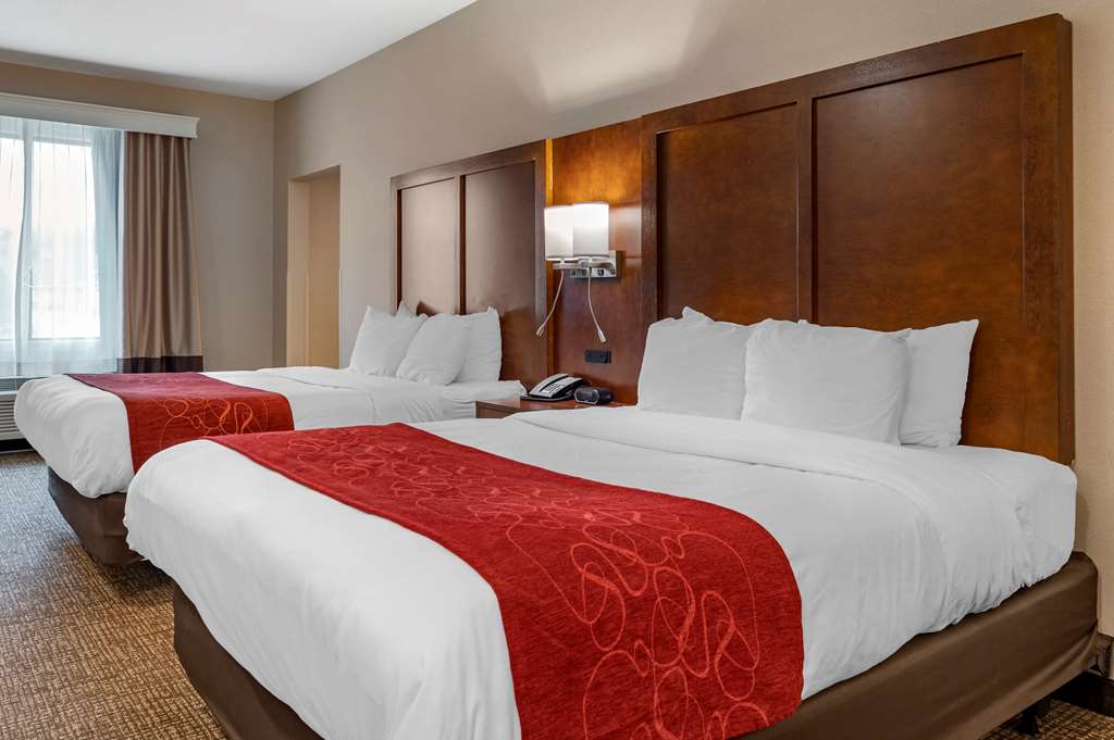 Comfort Suites Columbus Airport - photo 12