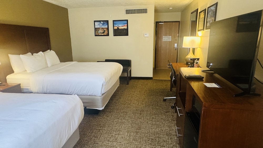 Comfort Inn Salt Lake City Downtown - photo 25