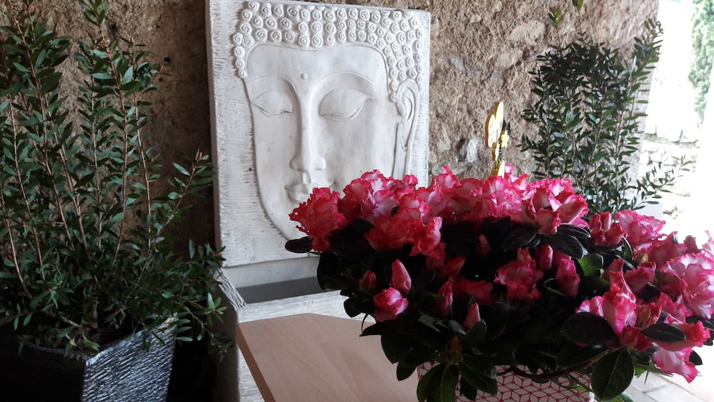 Maïni gite — Laurens — photo 2