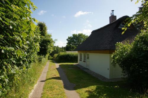 Kate unter Reet im Grünen — Buchholz — photo 2