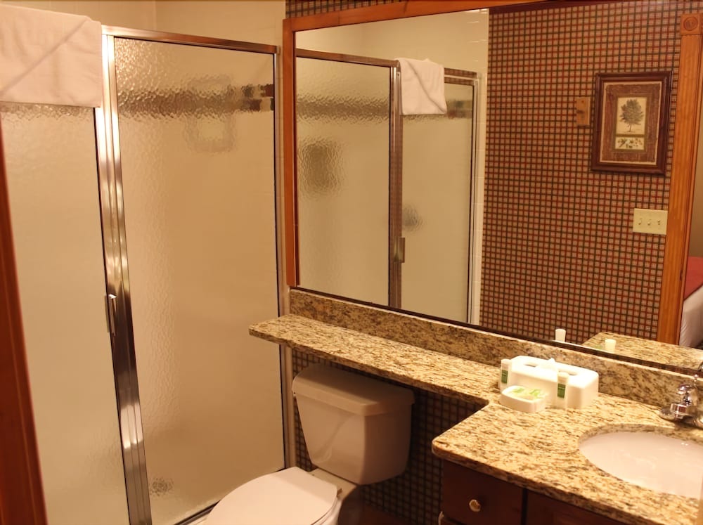 Westgate Smoky Mountain Resort & Spa - photo 34