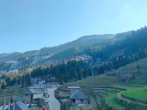 Hotel Cozy Haven — Mandi — photo 3