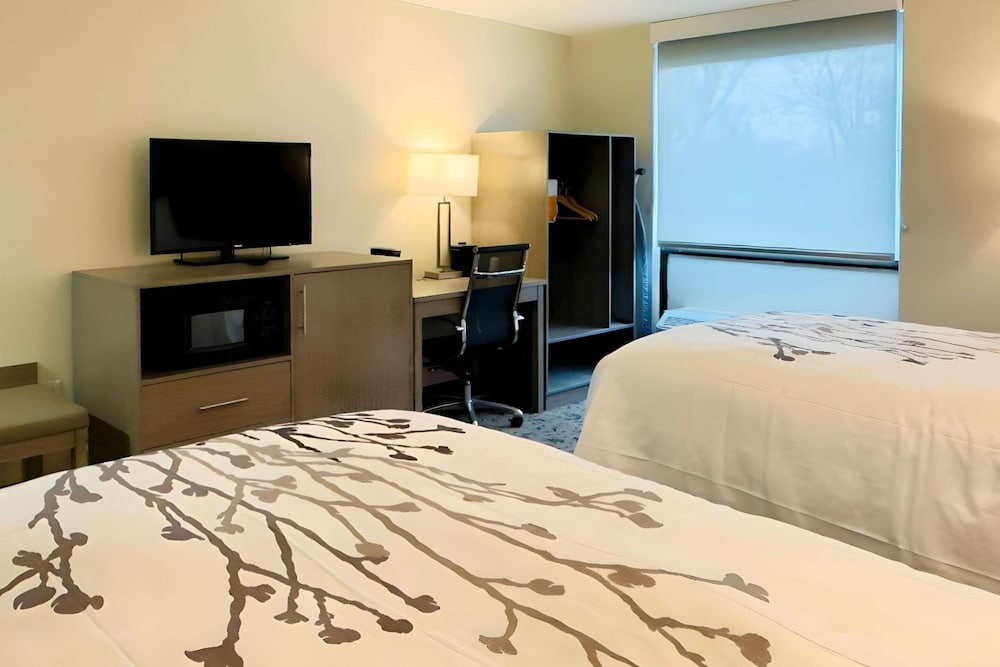 Sleep Inn - photo 7