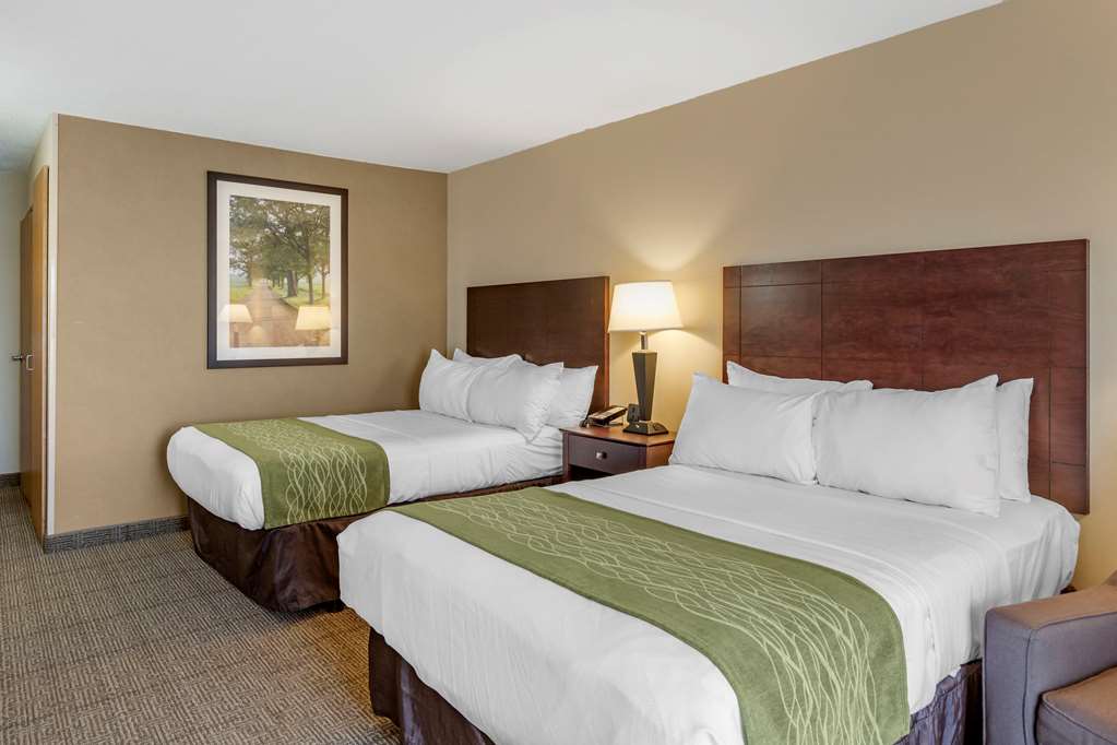 Comfort Inn Lansing West - photo 19