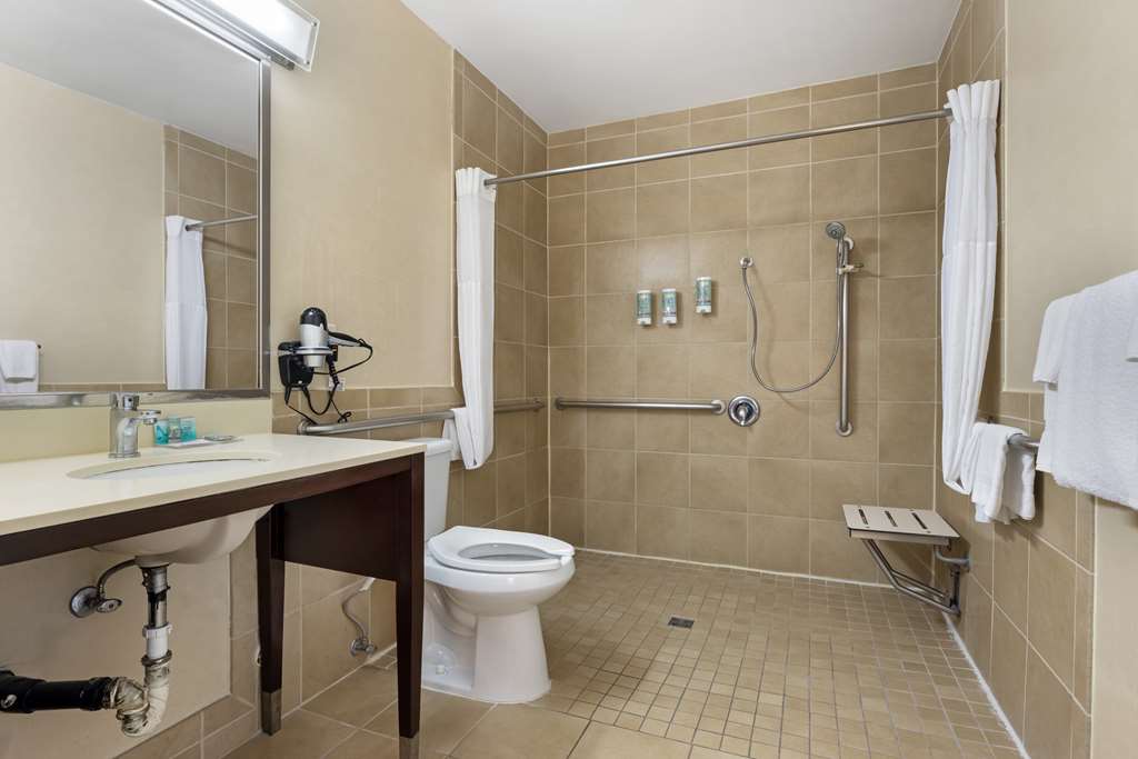 Best Western Royal Palace Inn & Suites - photo 28