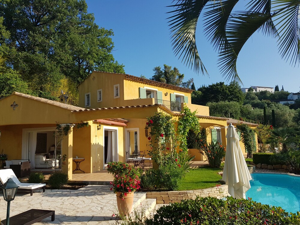 La Dolce Vita Opio — Opio — photo 2