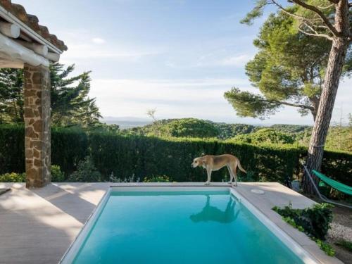 Nova - carbon neutral hotel in Begur
