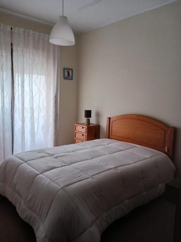 Casa De Arvore 19435802 — Arvore