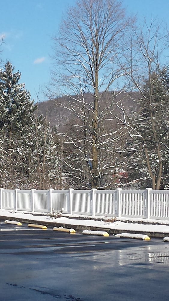 Paradise Inn & Suites - photo 34