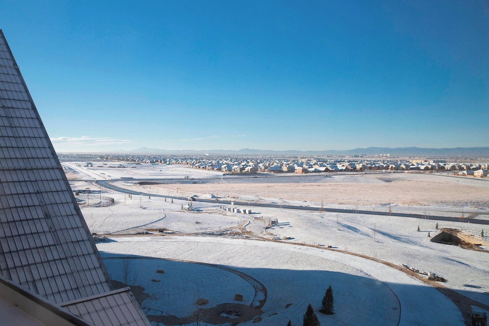Gaylord Rockies Resort & Convention Center - photo 38