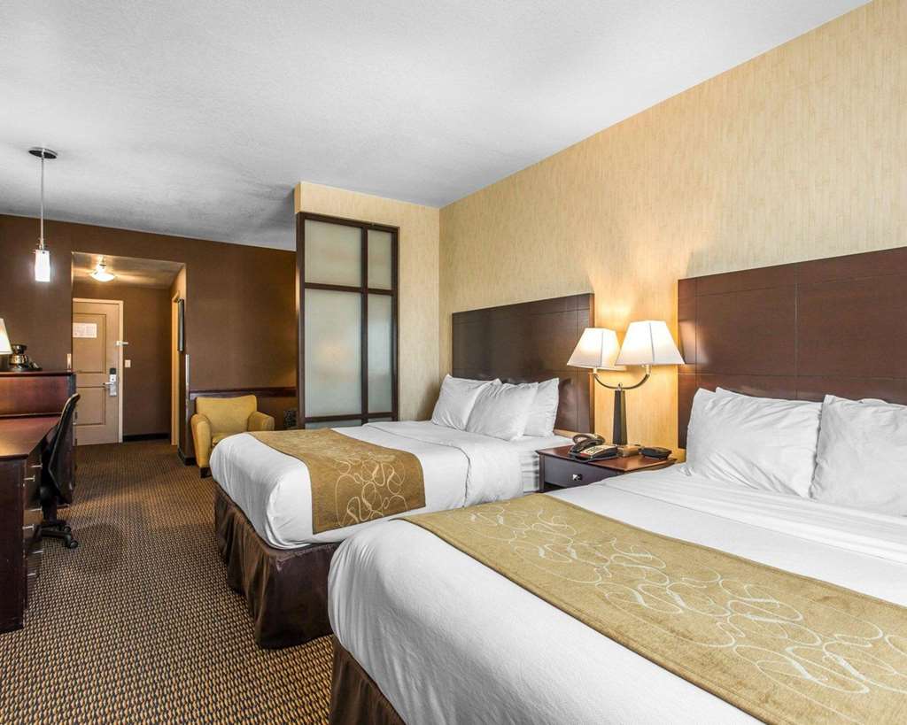 Comfort Suites Near City of Industry Los Angeles - photo 11
