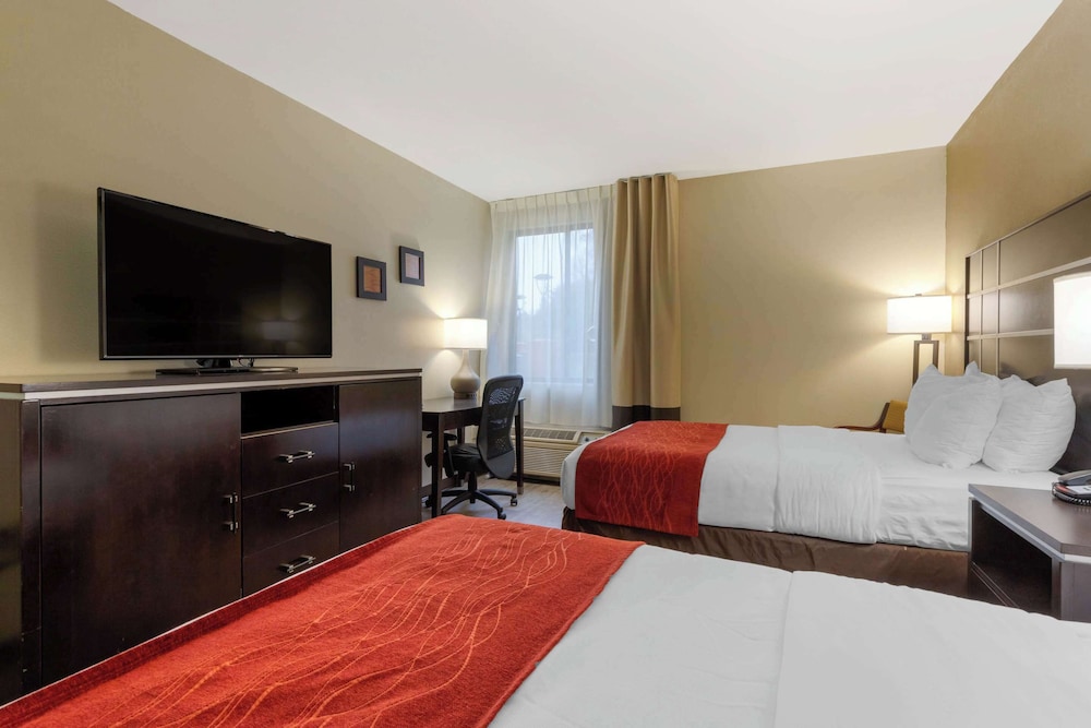 Comfort Inn North of Asheville - photo 34