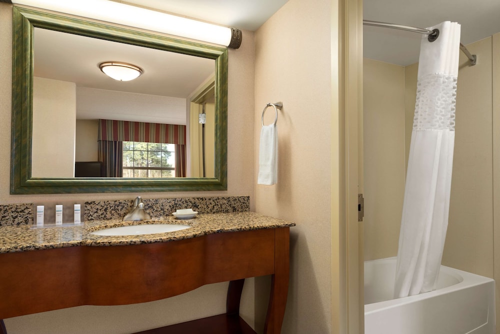 Hampton Inn & Suites Williamsburg Central - photo 14