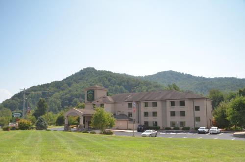 Smoky Mountain Inn & Suites - photo 24