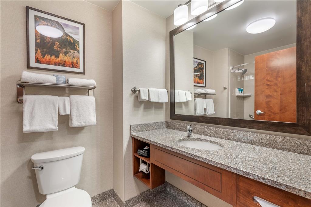 Drury Plaza Hotel Denver Central Park - photo 11