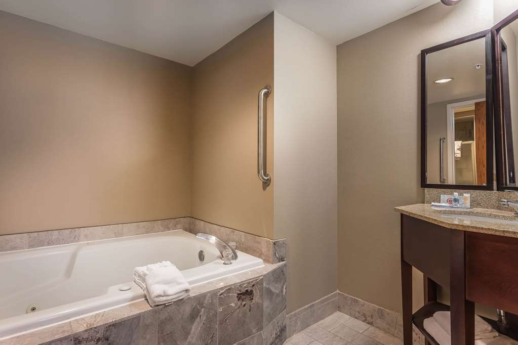 Comfort Inn SW Omaha I 80 - photo 22