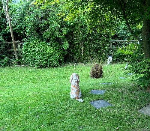 Riverside - last minute hotel in Combe Martin