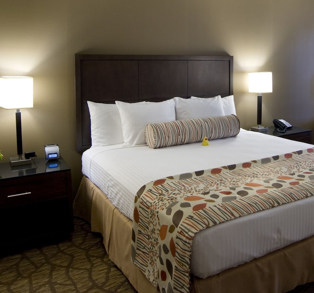 Airtel Plaza Hotel - photo 15