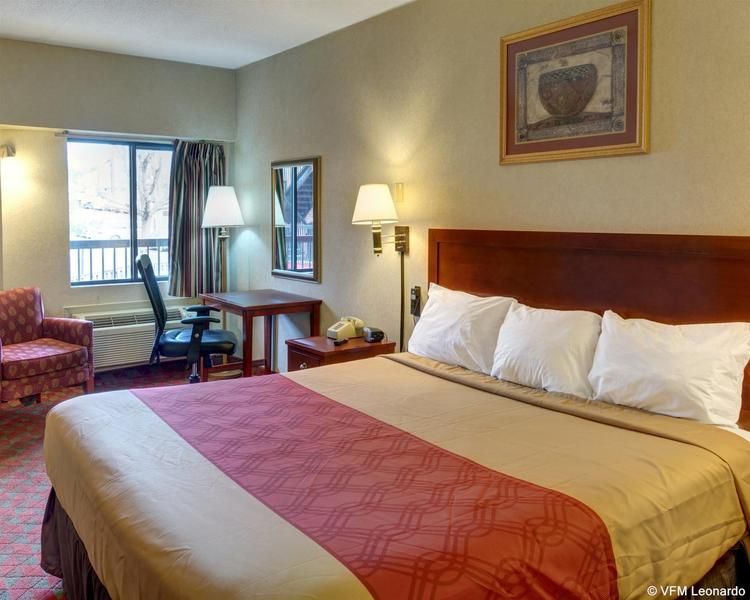 Red Carpet Inn by University of Maryland - photo 5