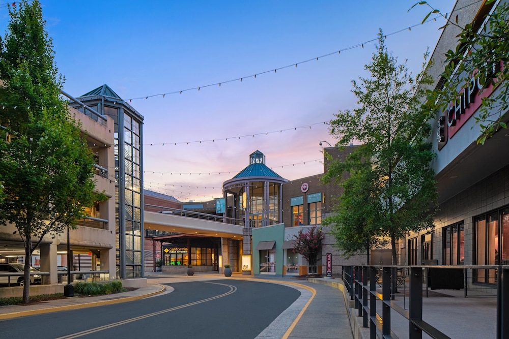 Residence Inn by Marriott Tysons - photo 34