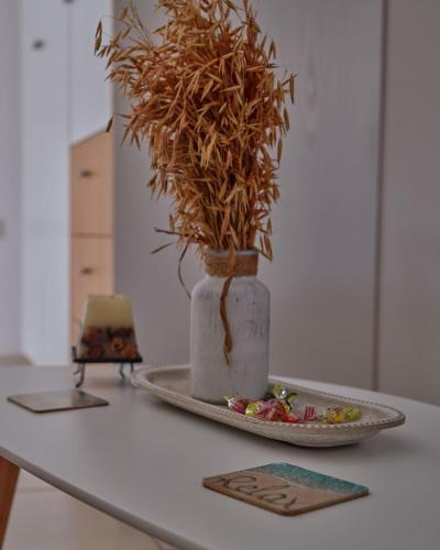 Recanto Jk - carbon neutral hotel in Taguatinga