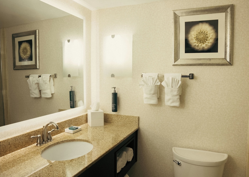 Hilton Palm Beach PBI - photo 67