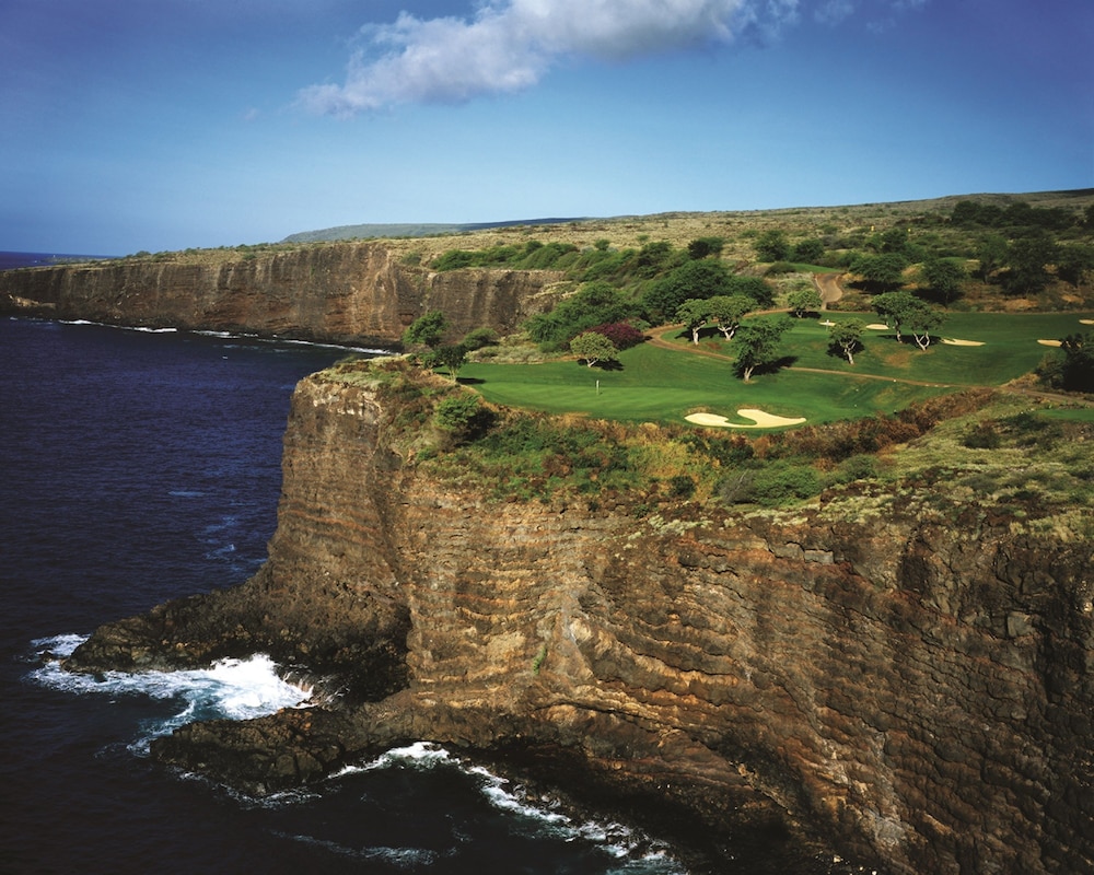 Four Seasons Resort Lanai - photo 87