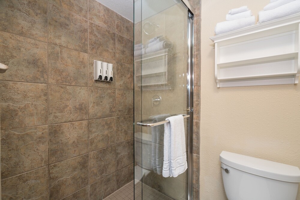 Manitou Lodge 8 Hotel Room by Alpine Lodging Telluride - photo 7
