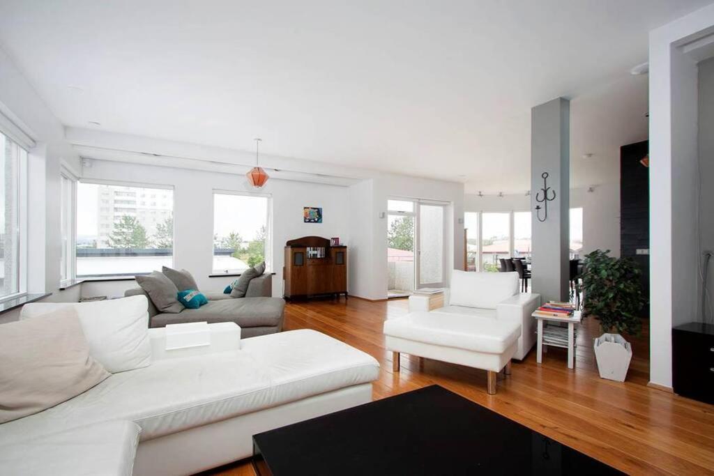 Sunny And Spacious Luxury House