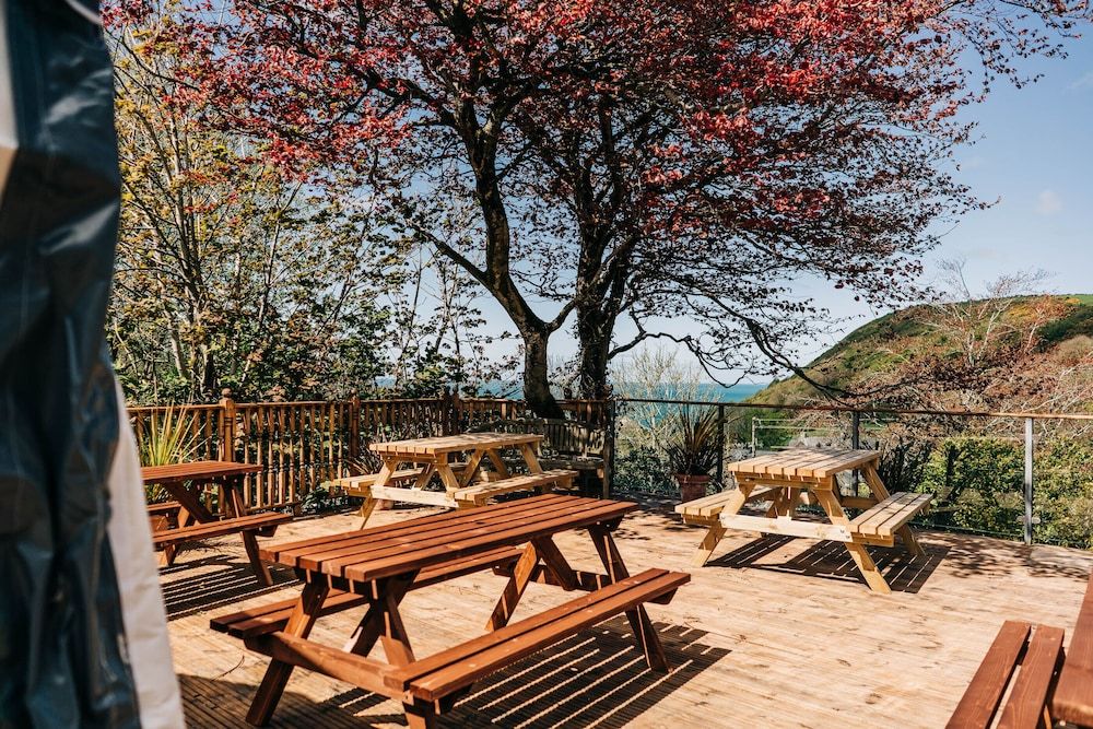 Bryn Berwyn in Cardigan, United Kingdom