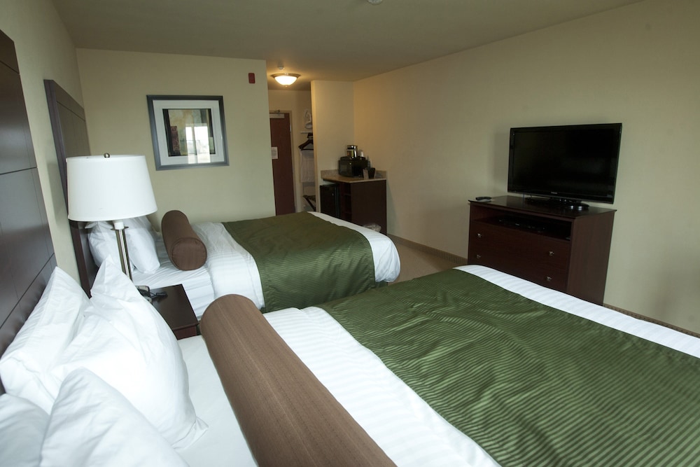 Cobblestone Inn & Suites Langdon - photo 16