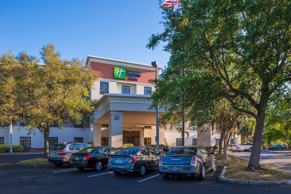Holiday Inn Express Hotel & Suites Tampa Anderson Rd Veteran by IHG - photo 67