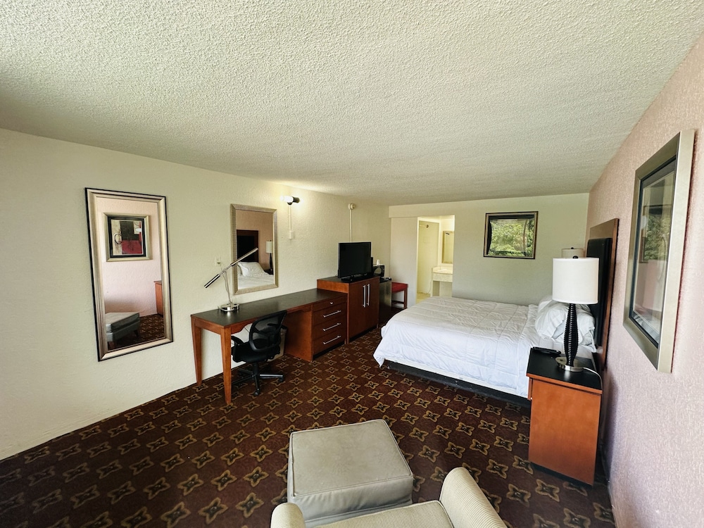 Boca Inn - photo 17