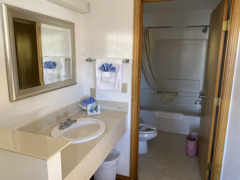 Oasis Botique Motel - photo 20
