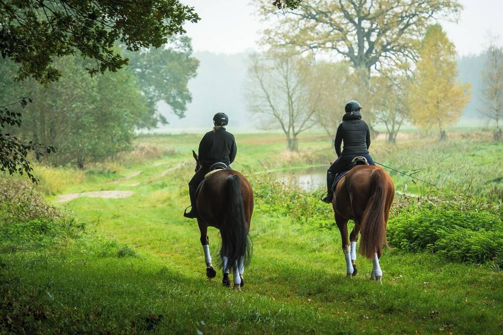 Horseback riding