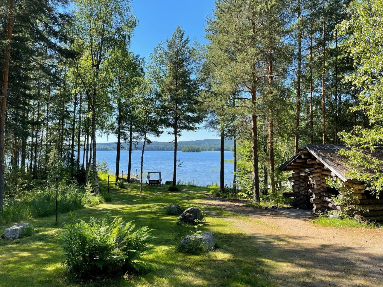 Nenaniemi — Luhanka — photo 3