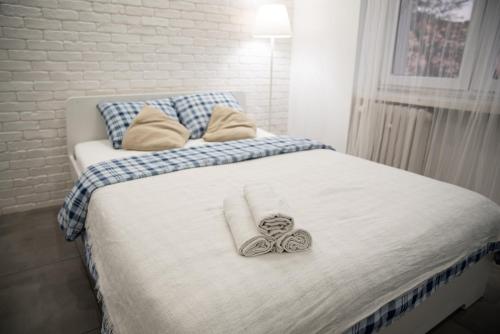 Converted barn perfect MTB break Coed y Brenin — hotel in Trawsfynydd