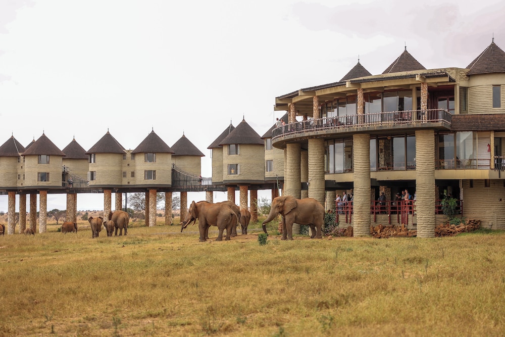 Sarova Salt Lick Game Lodge — 4-Star Luxury Hotel in Voi, Kenya