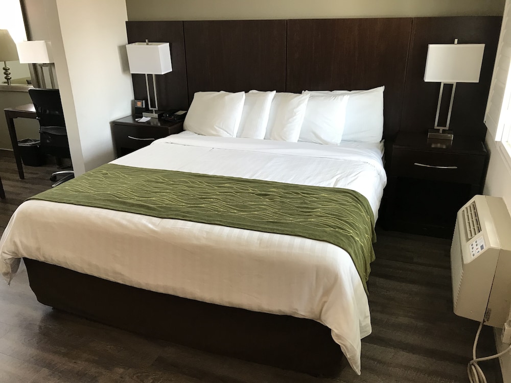 Hi View Inn & Suites - photo 4