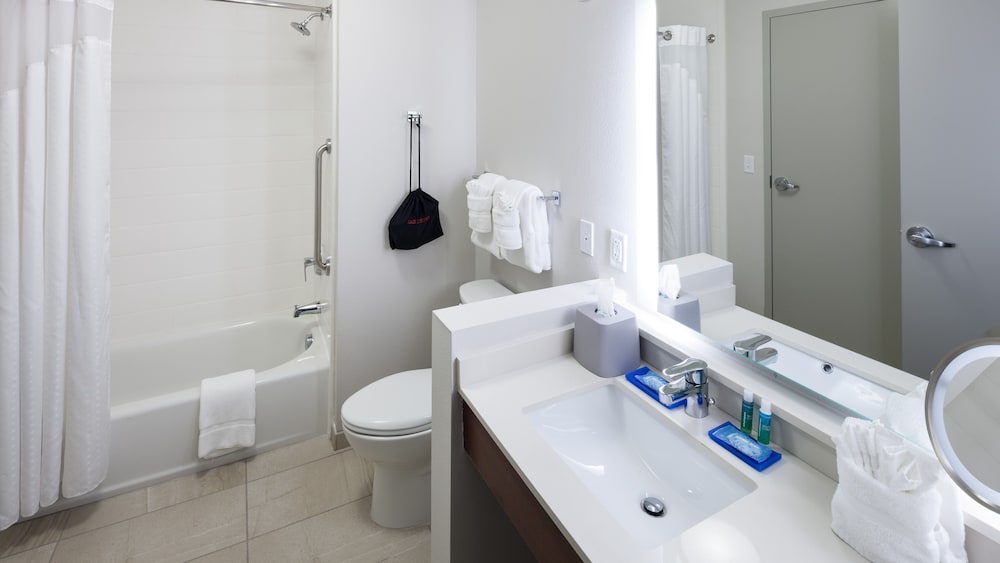 Holiday Inn Express & Suites Orlando at SeaWorld by IHG - photo 29