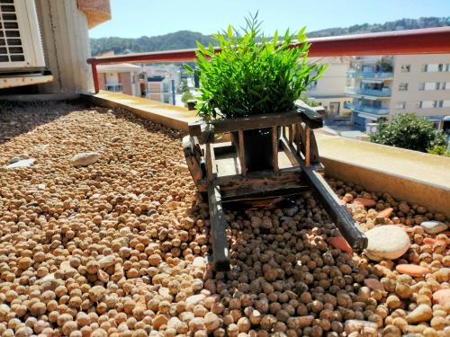 Apartament Geminis 5 Min Playa Parking Gratis — Tossa De Mar