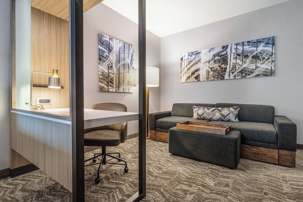 SpringHill Suites by Marriott Charleston Airport & Convention Center - photo 29